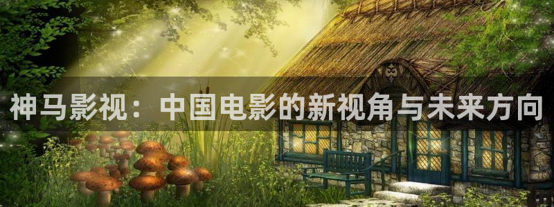 星辰影院神马电影