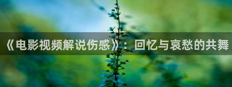 云襄传星辰影院
