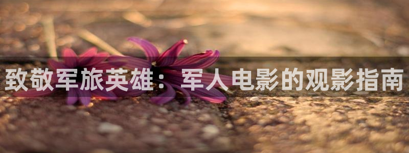 电影在线星辰影院观看