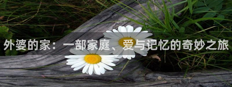 狂飙电视剧星辰影视