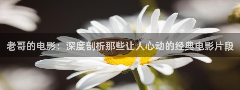 星辰影视在线观看免费观看完整版