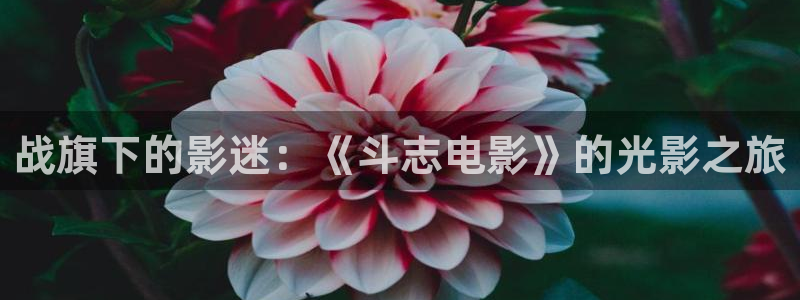 星辰影院高清电影大全在线看