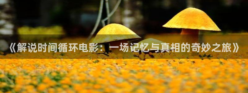 向风而行电视剧免费观看星辰影院