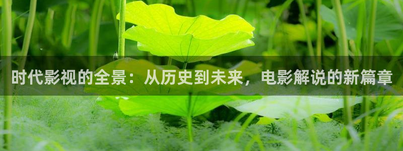 名侦探柯南在线观看星辰影院