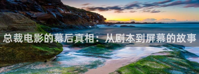 星辰影视大全在线观看免费观看