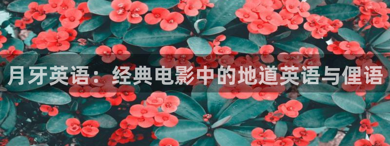 星辰影院动漫高清在线播放