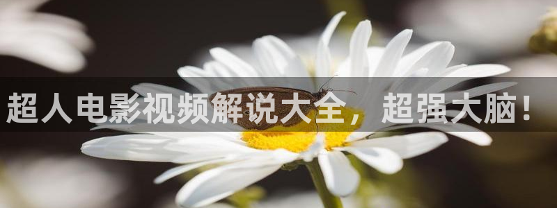星辰影院高清免费观看电视剧电影