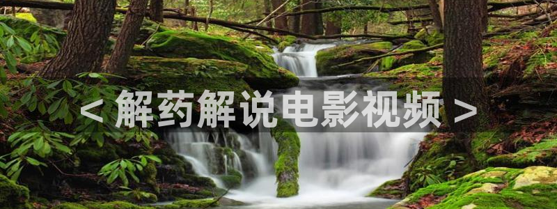 遮天在线观看完整版星辰影院：< 解药解说电影视频 >