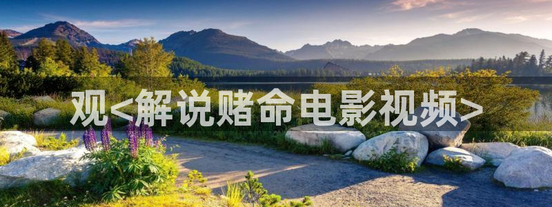 沉香如屑免费观看星辰影院：观<解说赌命电影视频>