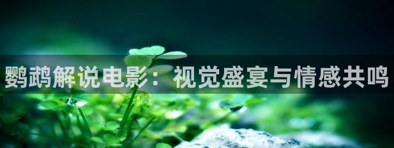华丽的外出星辰影院