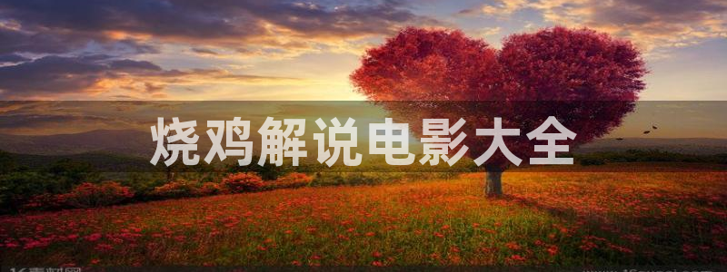 星辰影院在线观看免费下载电视剧：烧鸡解说电影大全