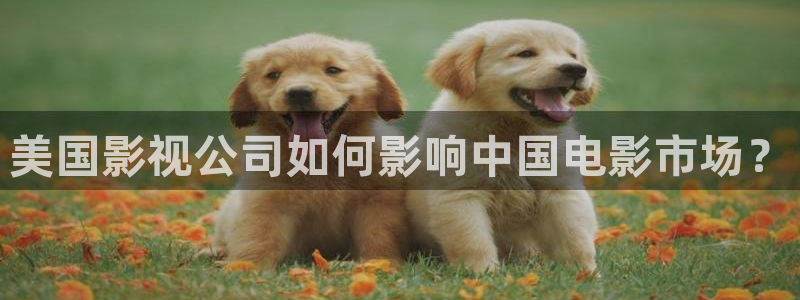 星辰影院 在线：美国影视公司如何影响中国电影市场？