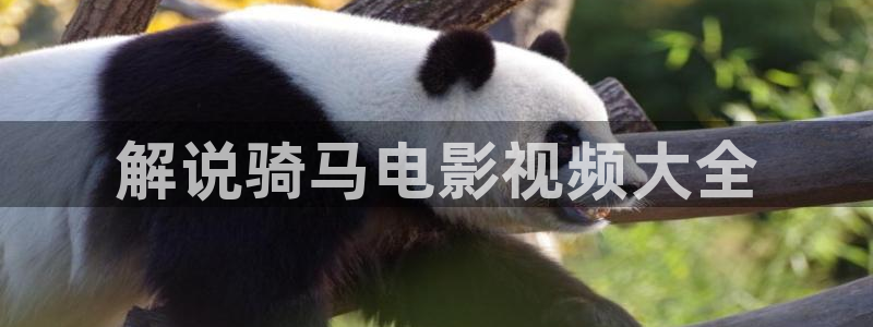 星辰在线观看免费高清完整电影：解说骑马电影视频大全