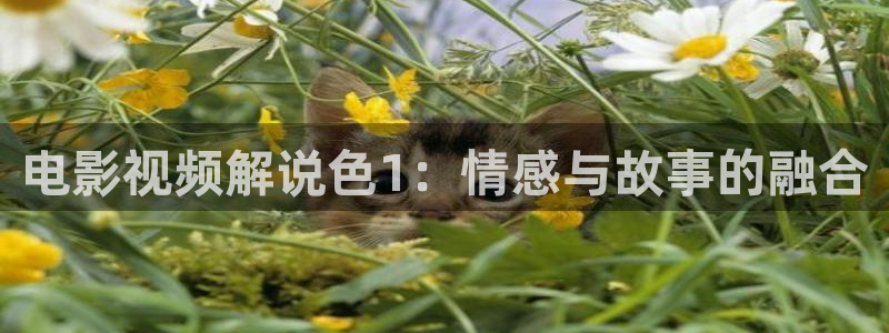 致命游戏星辰影院：电影视频解说色1：情感与故事的融合