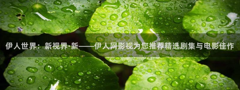 星辰免费高清影院：伊人世界：新视界·新——伊人网影视为您推荐精选剧集与电影佳作