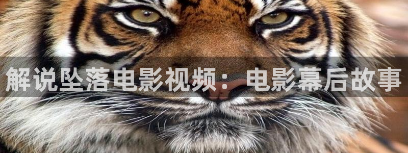 80s电影网星辰影院：解说坠落电影视频：电影幕后故事
