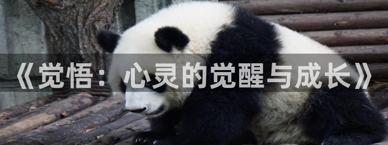 妈妈的朋友5星辰影院：《觉悟：心灵的觉醒与成长》