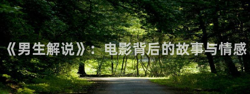 星辰影院高清电影免费在线观看：《男生解说》：电影背后的故事与情感