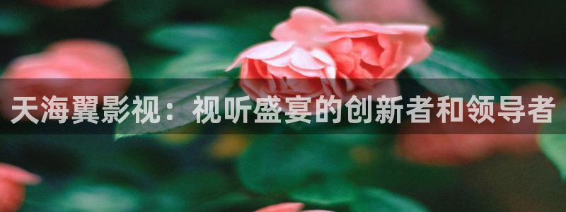 快乐老友记第二季星辰影院