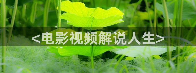 星辰高清影院在线观看全集免费观看
