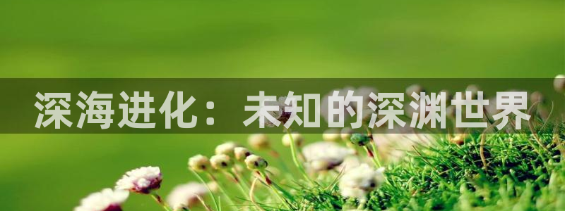 黎明之前星辰影院