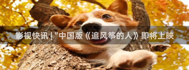 星辰于我下拉式漫画免费观看