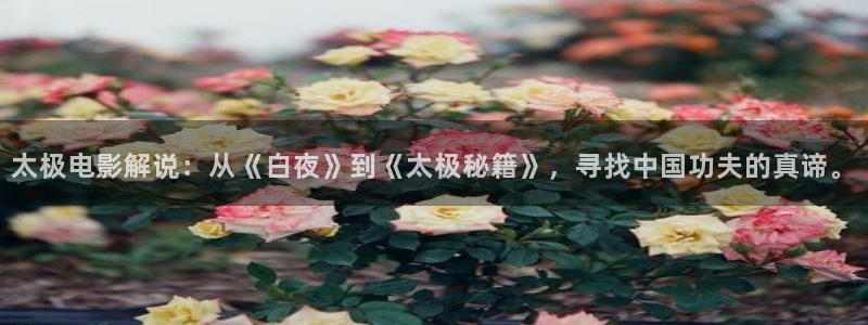 小敏家电视剧星辰影院