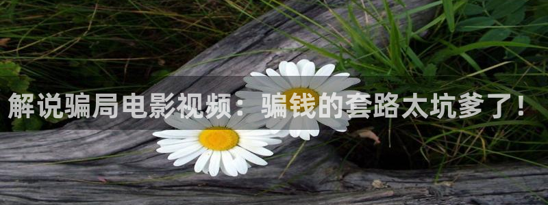 猎罪图鉴第二季免费观看星辰影院