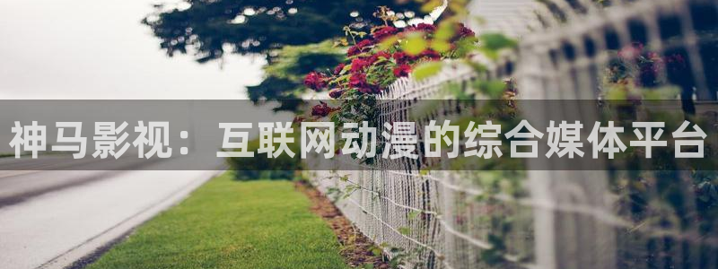 星辰影院免费看《艾玛好色》