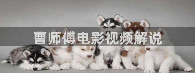 大决战在线观看星辰影院