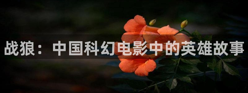 星辰影院最新电影免费观看