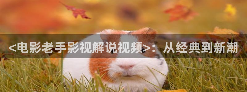 免费观看星辰影视